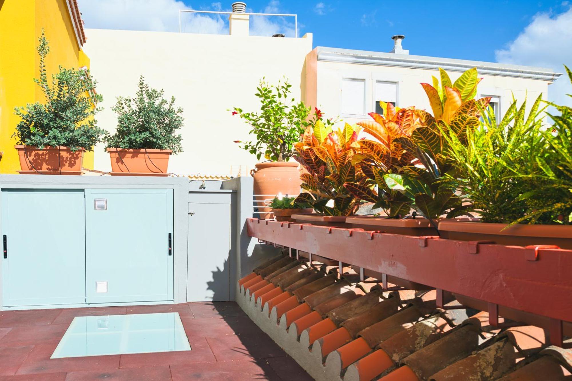 Casa Emblematica Isabel Villa Santa Cruz de la Palma  Dış mekan fotoğraf